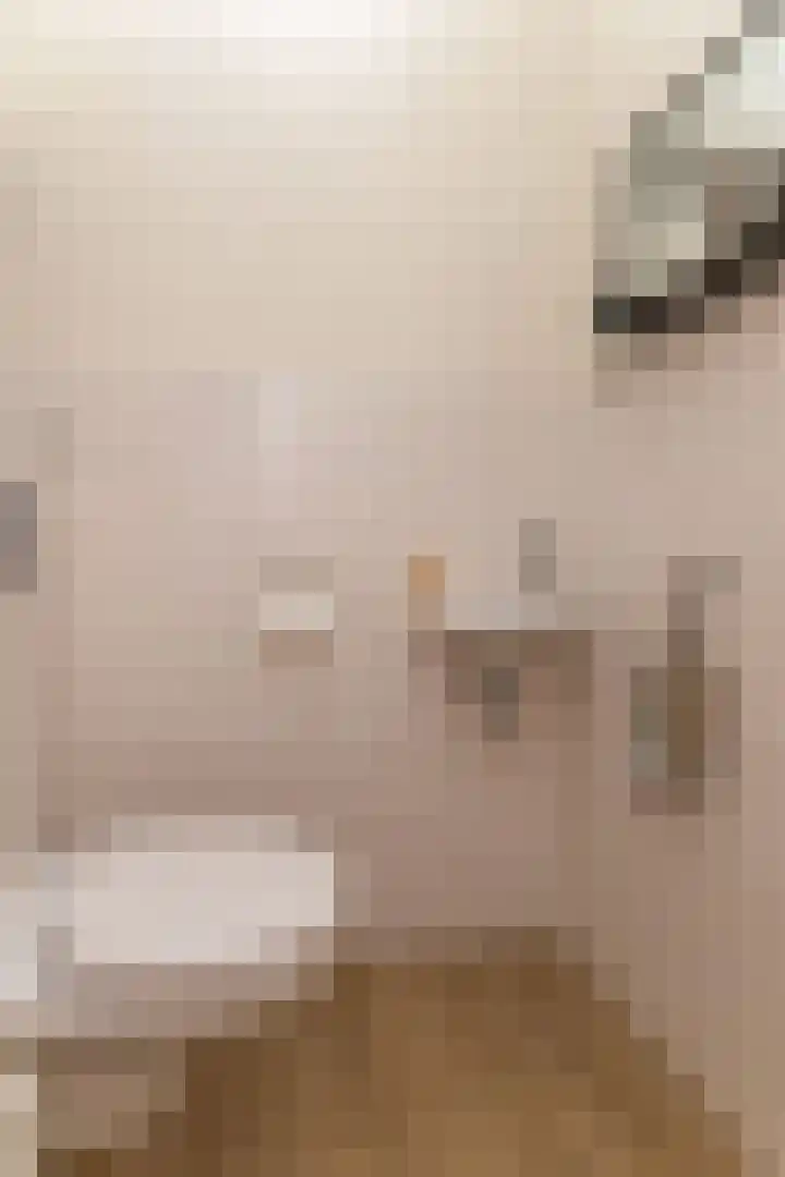 Inlaagdijk 14 Zwaag thumbnail 9