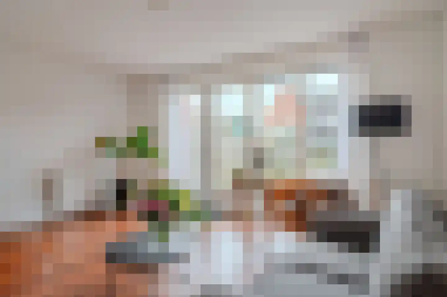 Inlaagdijk 141 Zwaag thumbnail 12