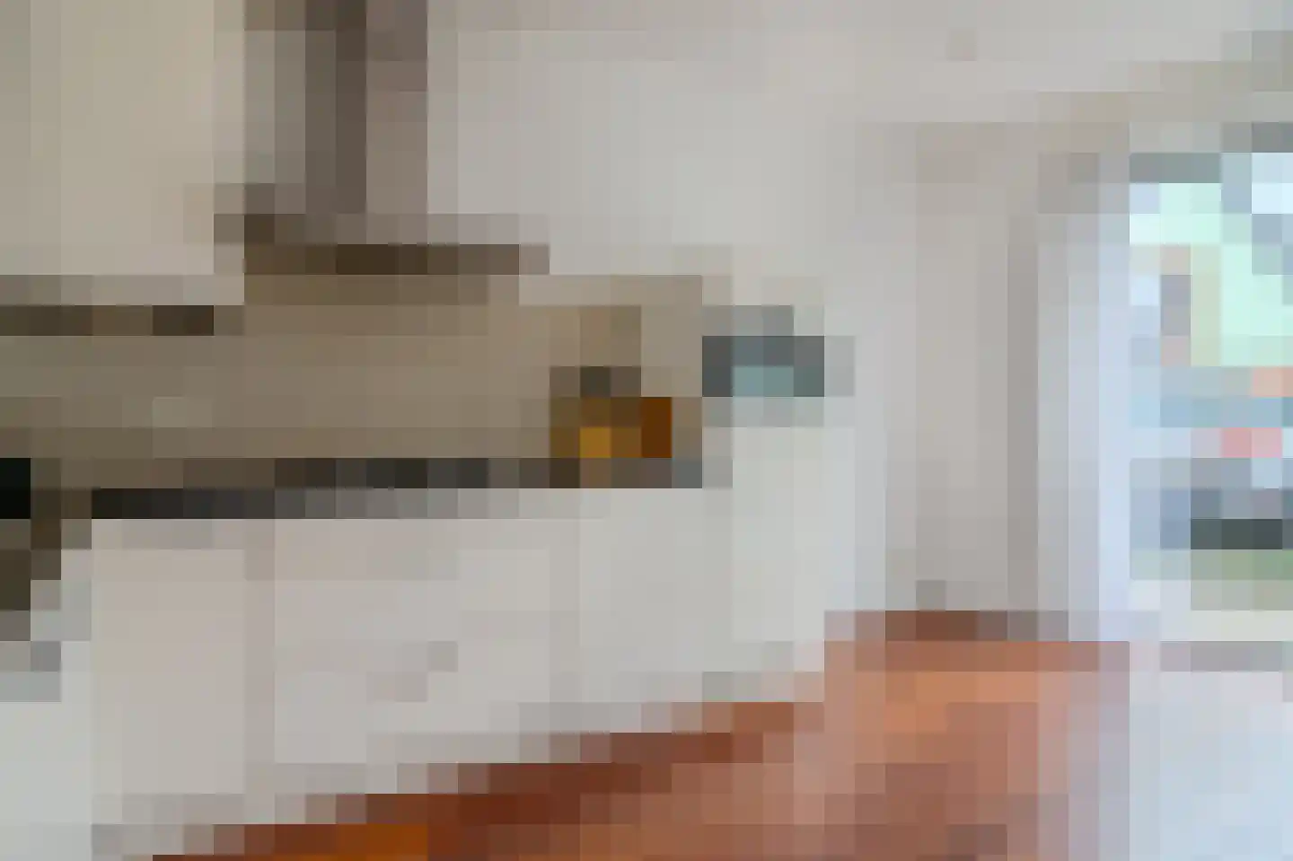 Inlaagdijk 141 Zwaag thumbnail 15