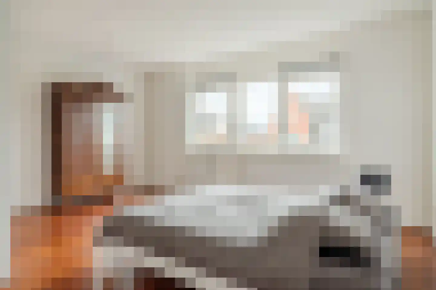 Inlaagdijk 141 Zwaag thumbnail 19