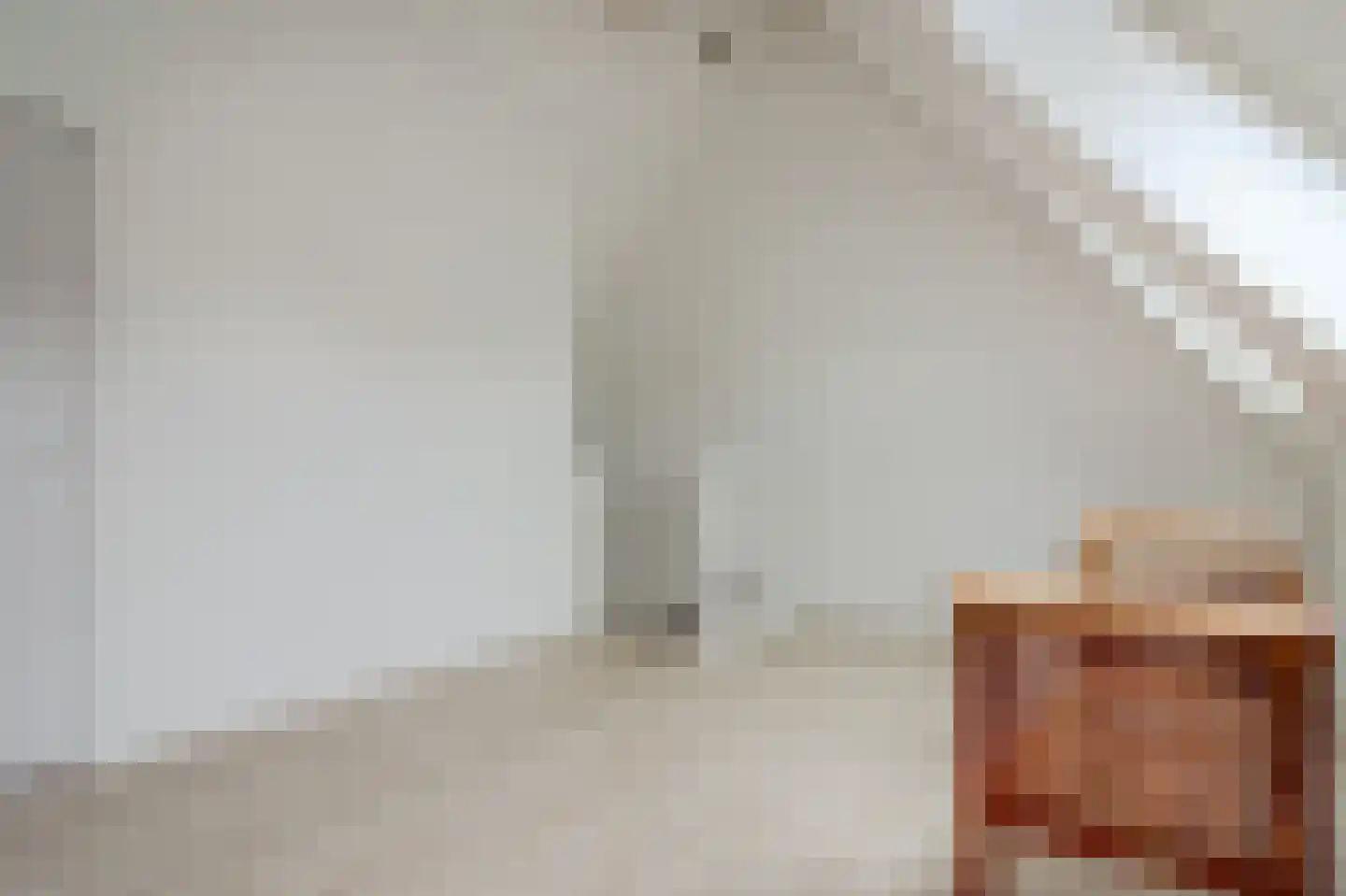 Inlaagdijk 141 Zwaag thumbnail 22