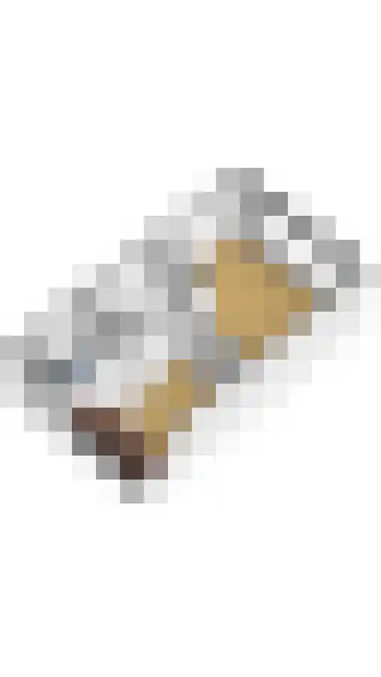 Inlaagdijk 141 Zwaag thumbnail 38