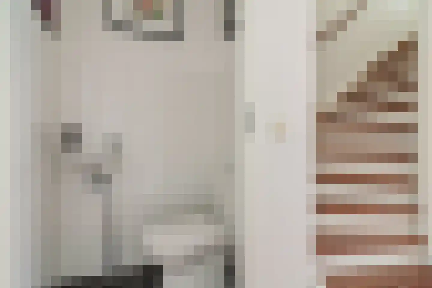 Inlaagdijk 141 Zwaag thumbnail 8