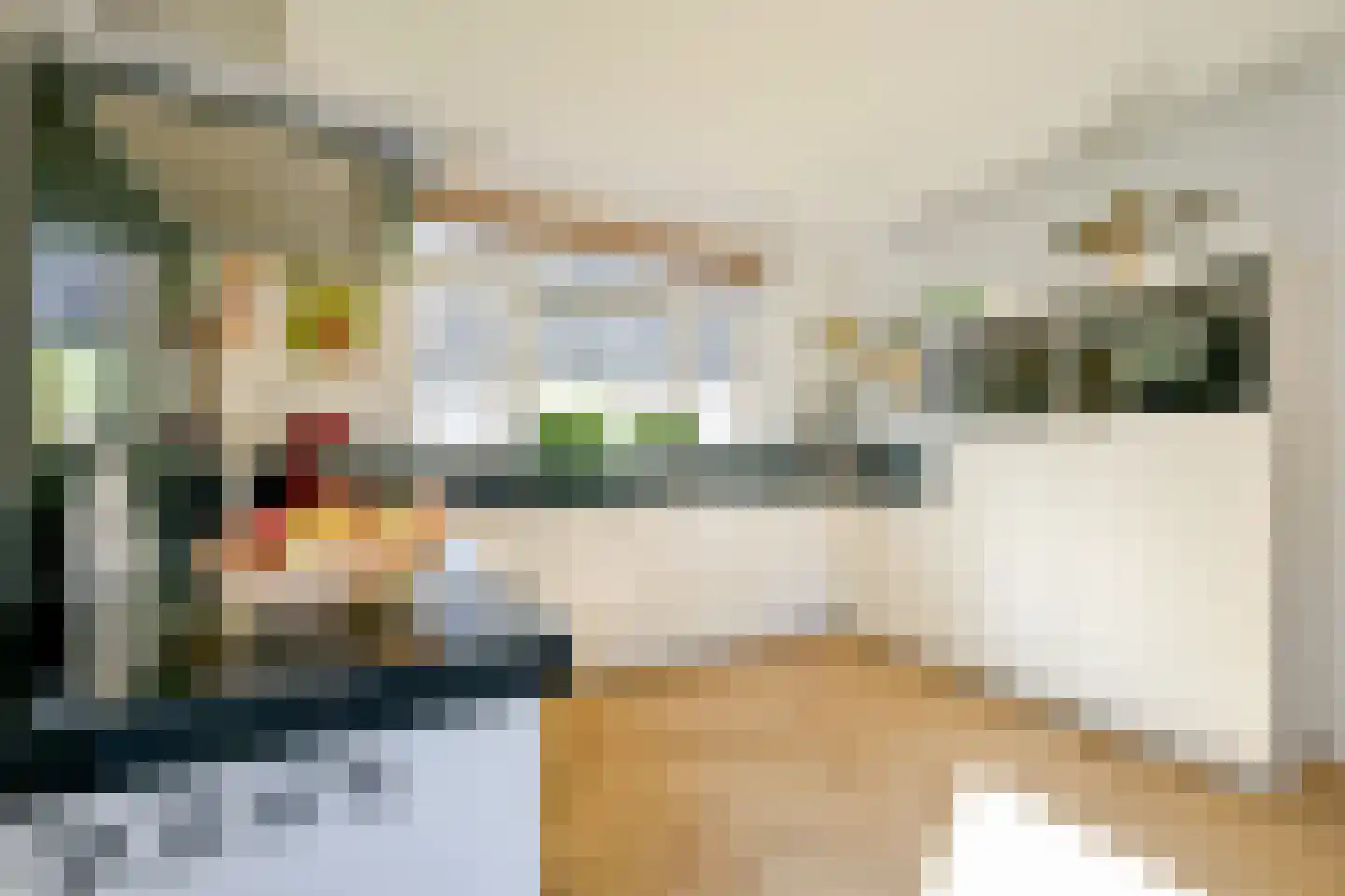 Inlaagdijk 165 Zwaag thumbnail 10