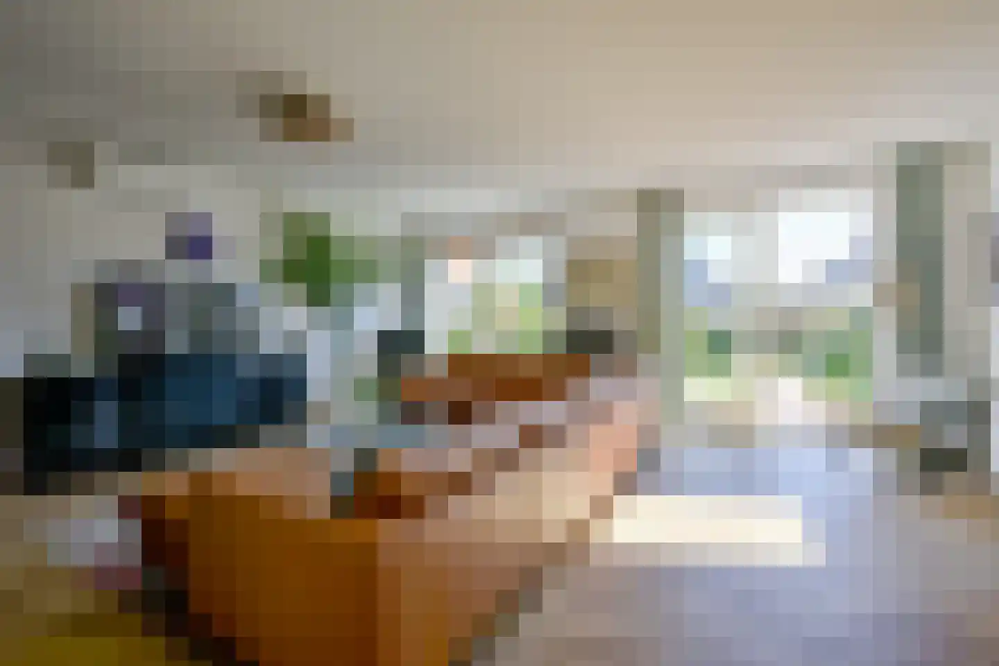 Inlaagdijk 165 Zwaag thumbnail 12
