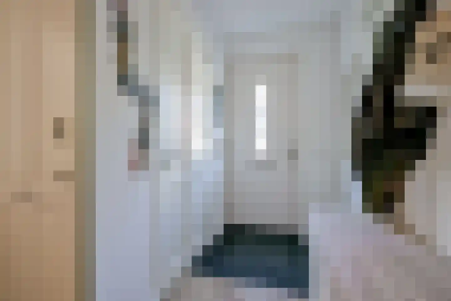 Inlaagdijk 165 Zwaag thumbnail 21