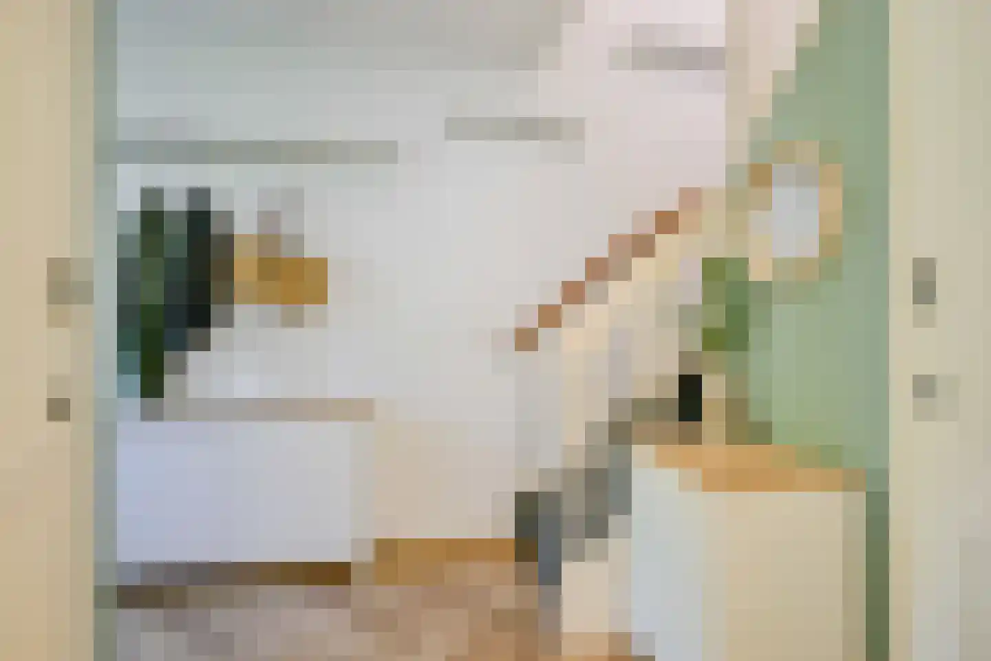 Inlaagdijk 165 Zwaag thumbnail 23