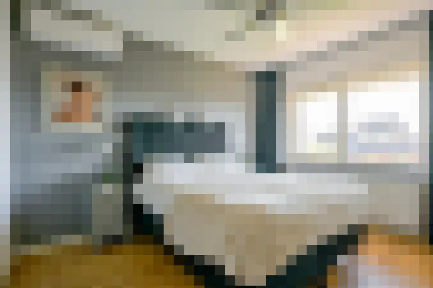 Inlaagdijk 165 Zwaag thumbnail 25