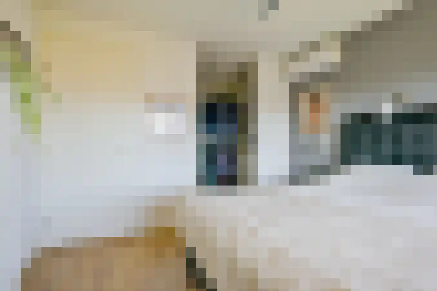 Inlaagdijk 165 Zwaag thumbnail 26