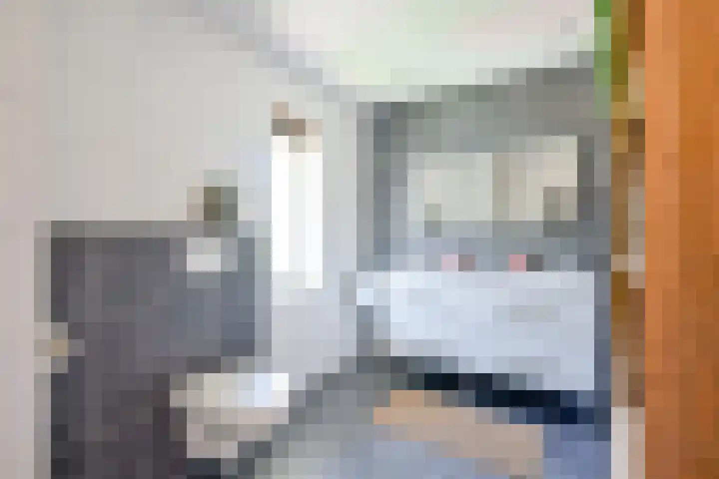 Inlaagdijk 165 Zwaag thumbnail 32