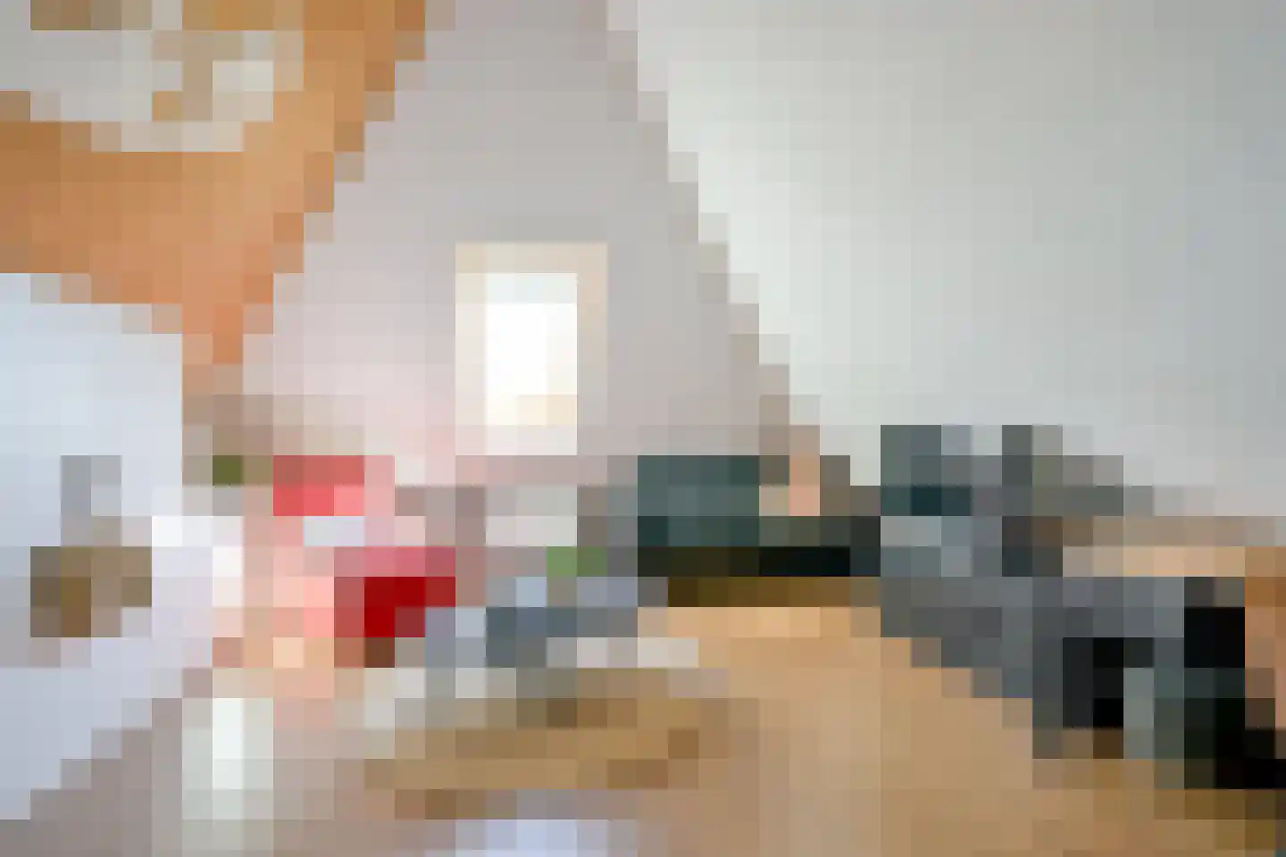 Inlaagdijk 165 Zwaag thumbnail 35