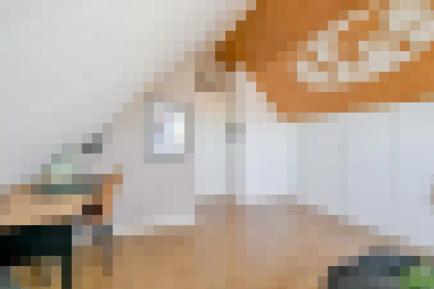 Inlaagdijk 165 Zwaag thumbnail 36