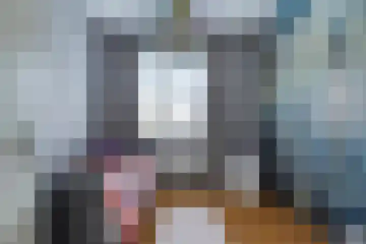 Inlaagdijk 19 Zwaag thumbnail 10