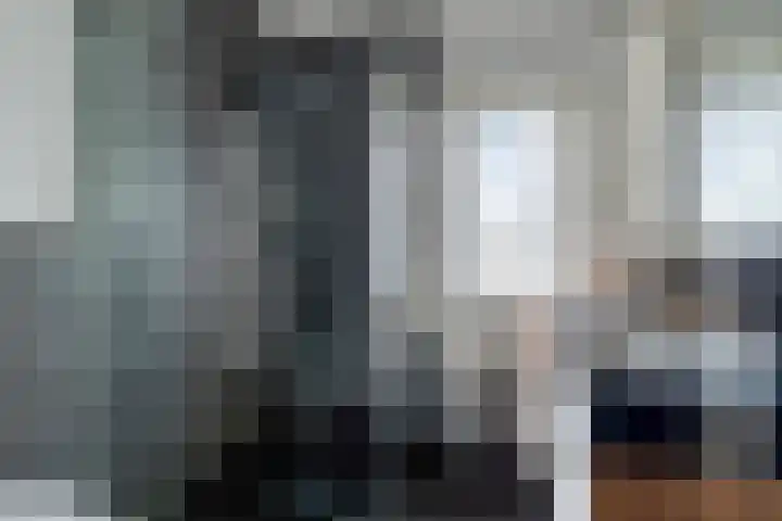 Inlaagdijk 19 Zwaag thumbnail 12