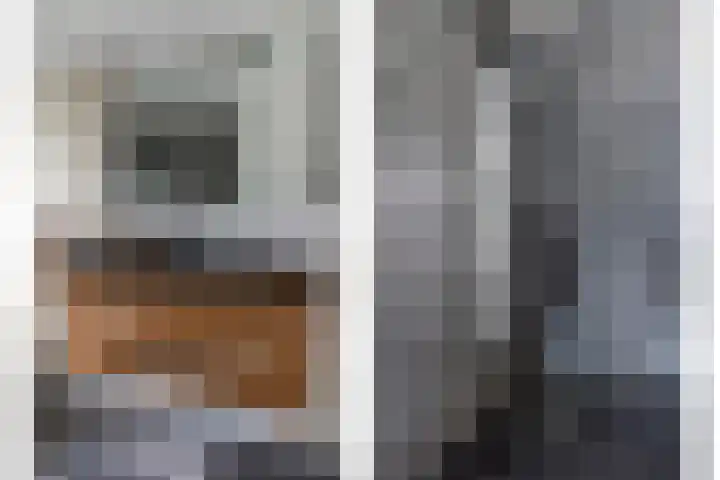 Inlaagdijk 19 Zwaag thumbnail 13