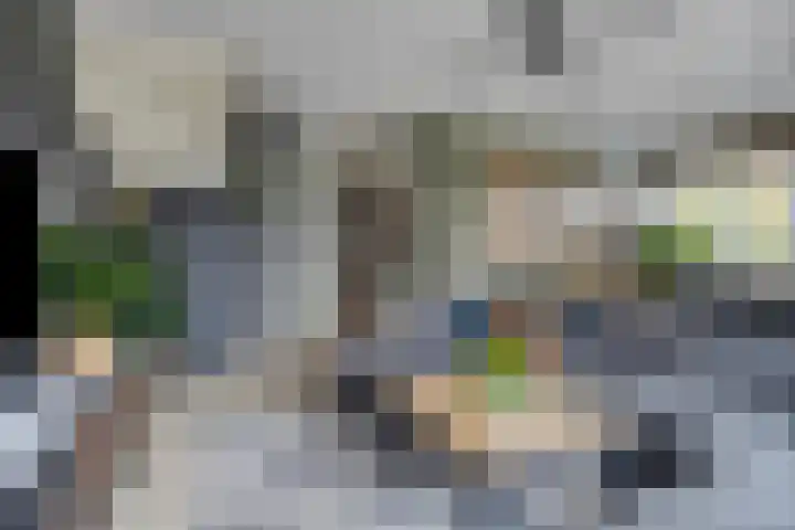 Inlaagdijk 19 Zwaag thumbnail 5