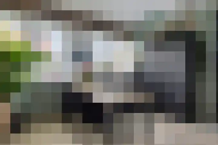 Inlaagdijk 19 Zwaag thumbnail 6