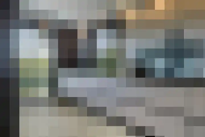 Inlaagdijk 19 Zwaag thumbnail 7
