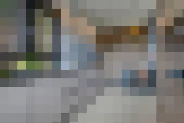 Inlaagdijk 19 Zwaag thumbnail 8