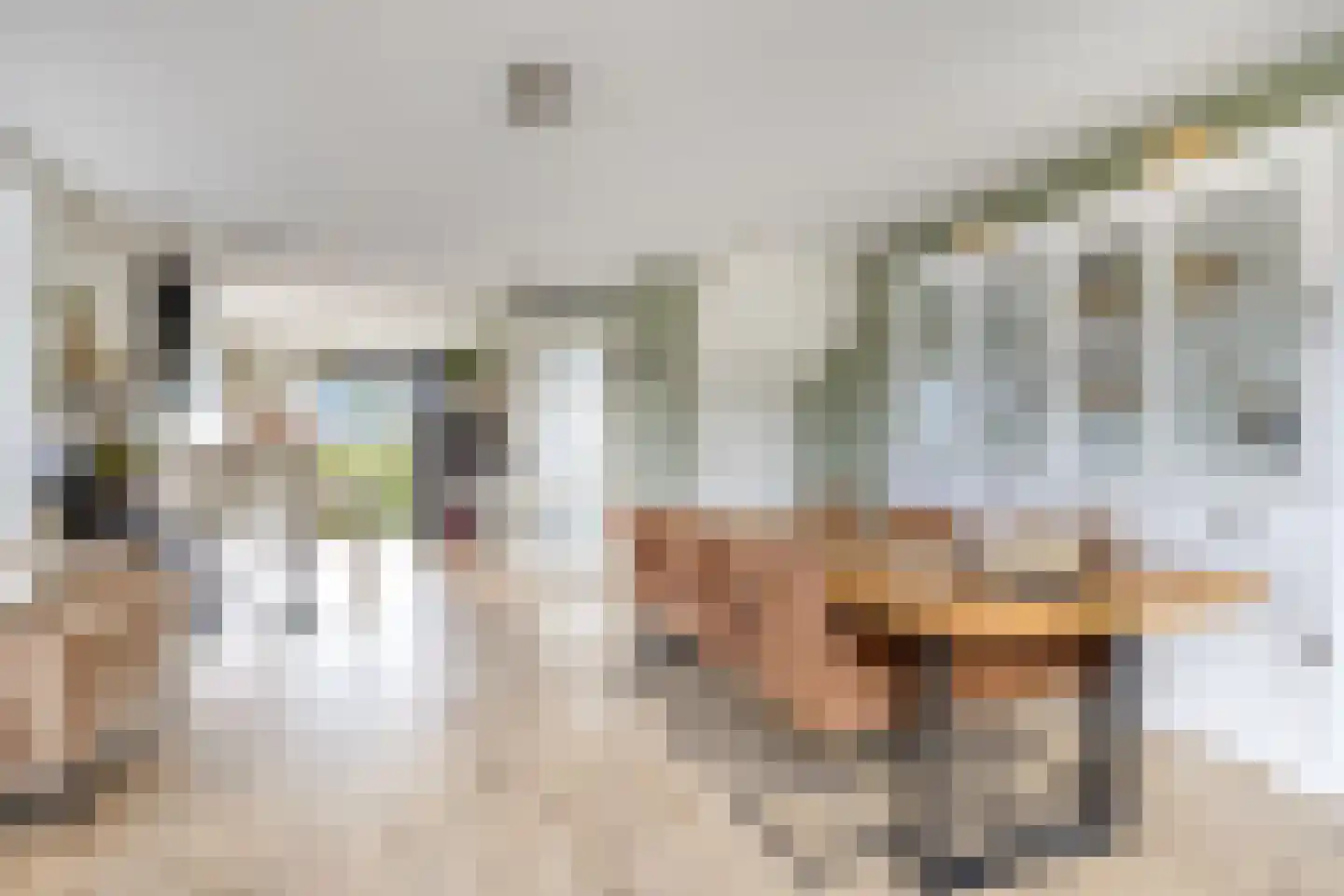 Inlaagdijk 20 Zwaag thumbnail 11