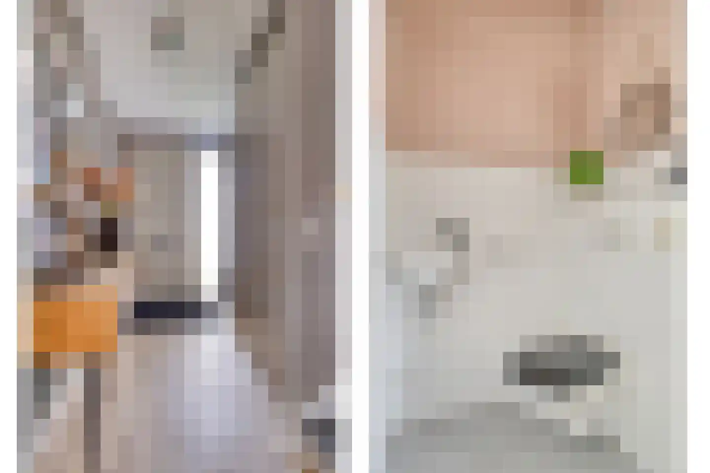 Inlaagdijk 20 Zwaag thumbnail 13