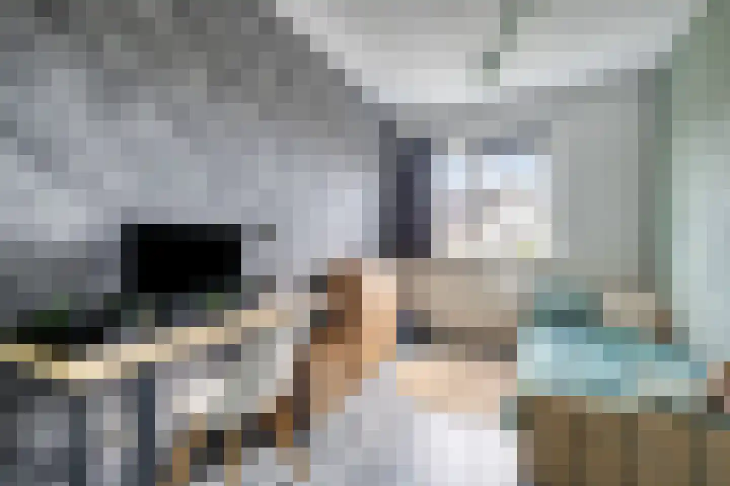 Inlaagdijk 20 Zwaag thumbnail 14