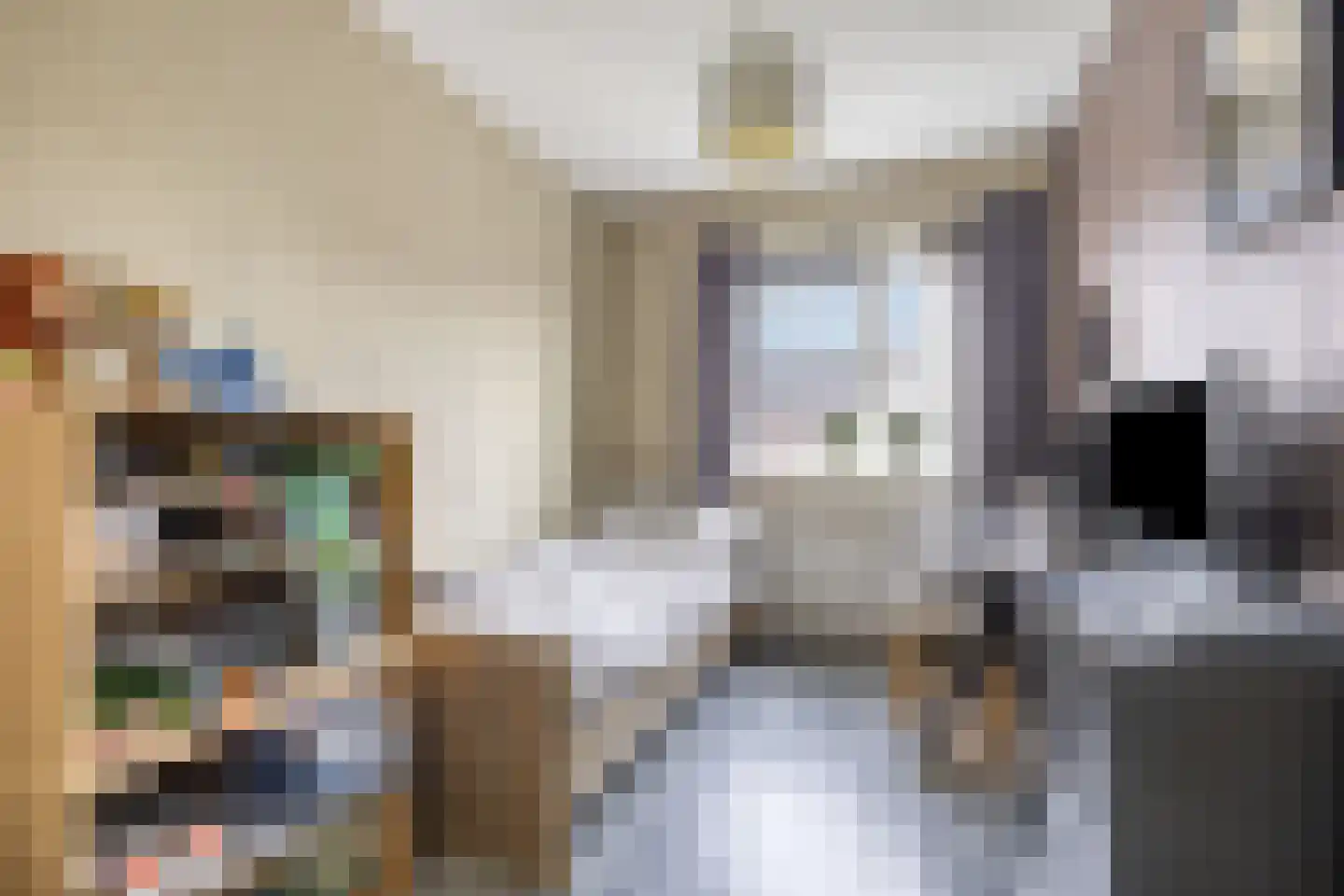 Inlaagdijk 20 Zwaag thumbnail 15