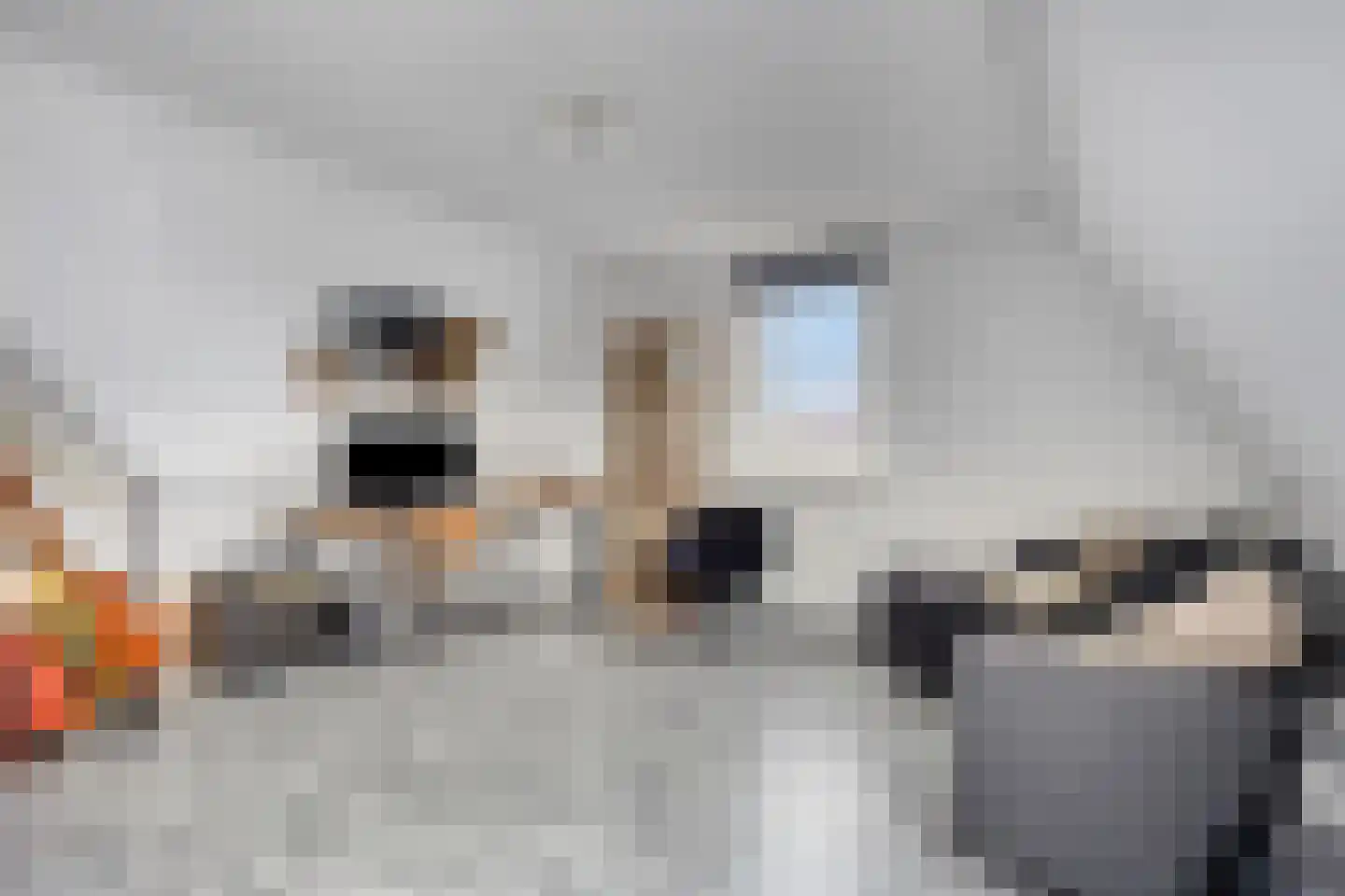 Inlaagdijk 20 Zwaag thumbnail 17