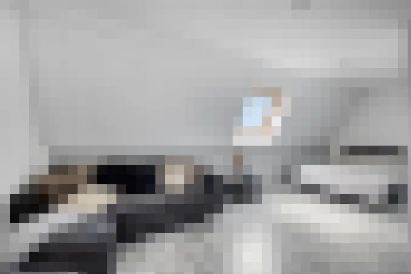 Inlaagdijk 20 Zwaag thumbnail 18