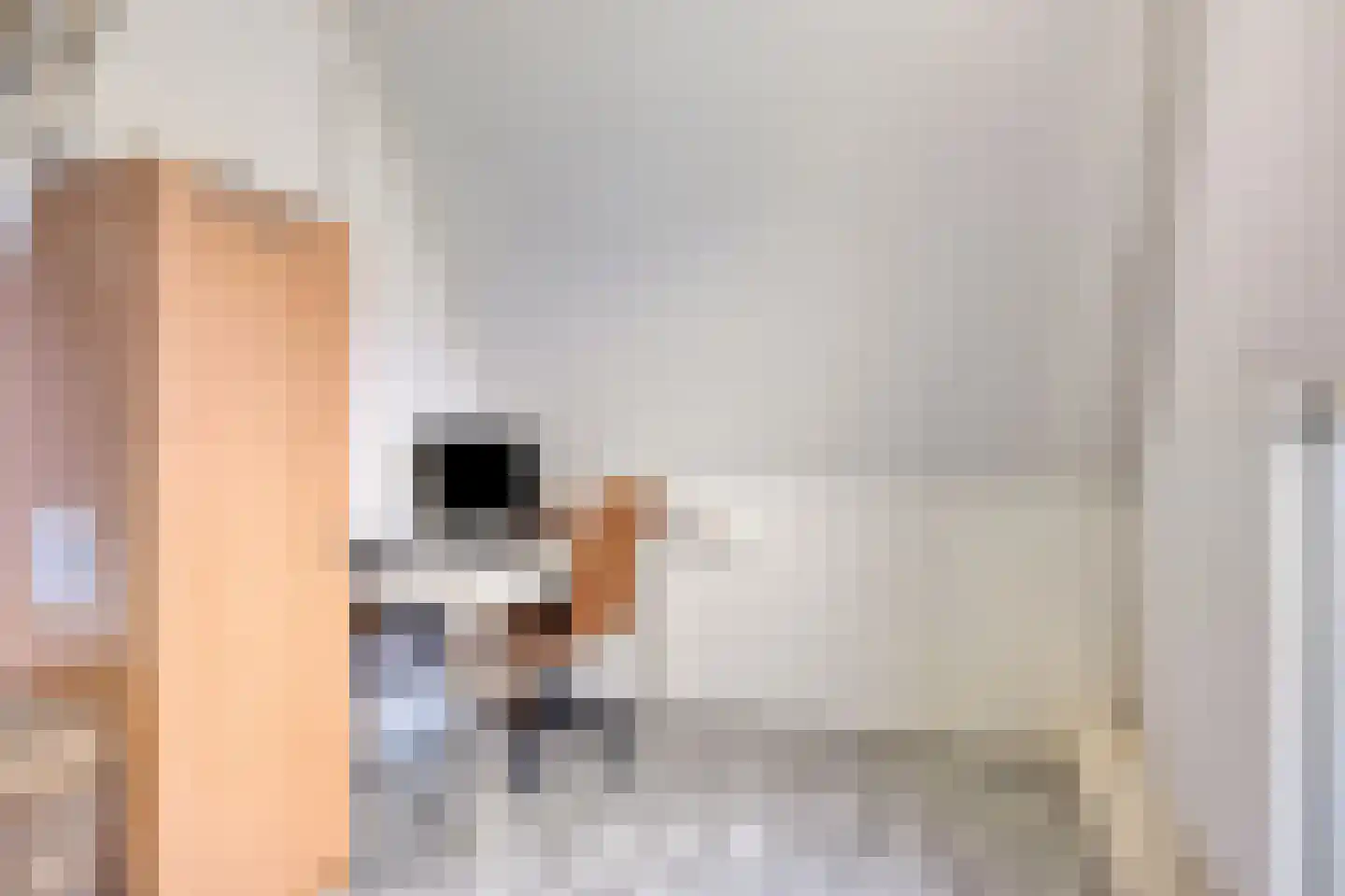Inlaagdijk 20 Zwaag thumbnail 19