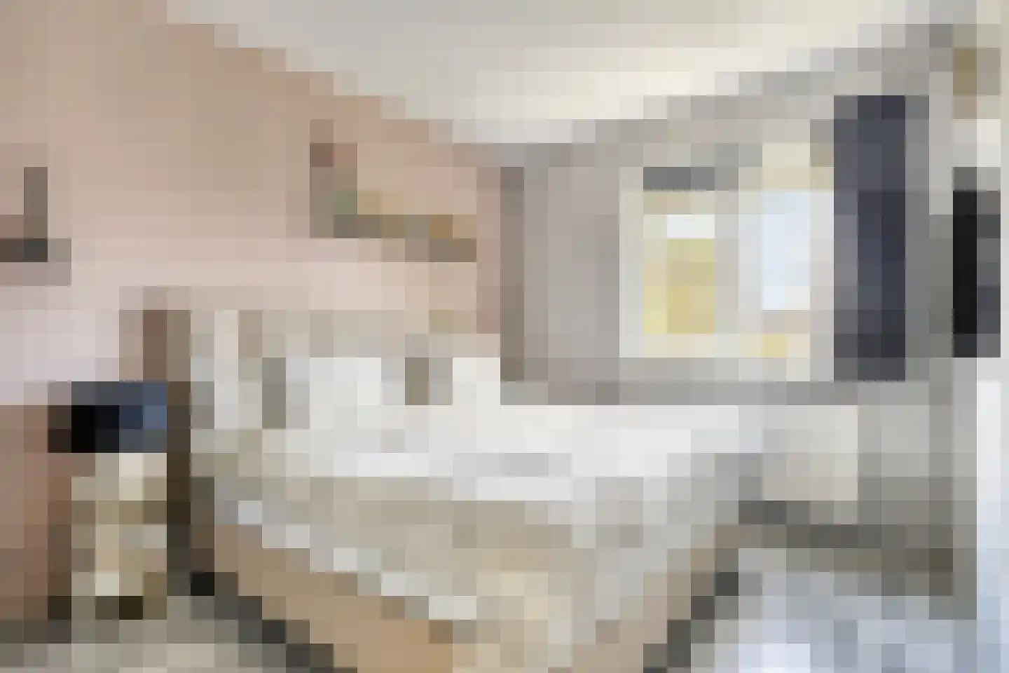 Inlaagdijk 20 Zwaag thumbnail 4