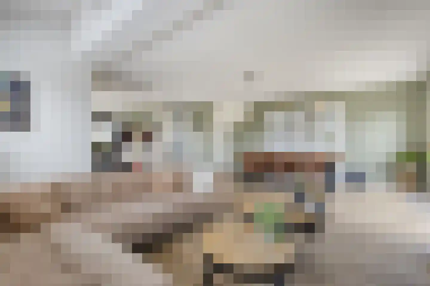 Inlaagdijk 20 Zwaag thumbnail 9
