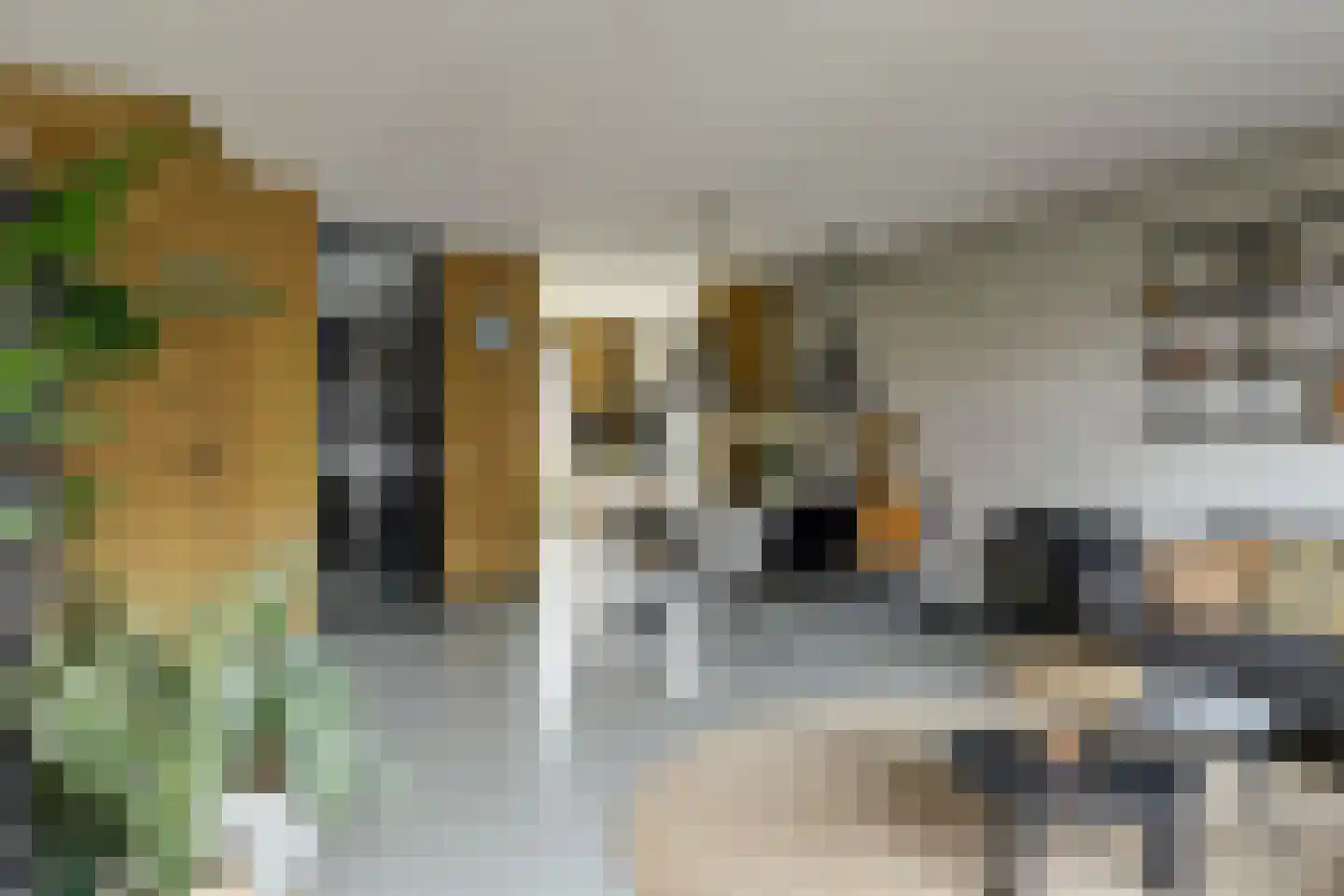 Inlaagdijk 23 Zwaag thumbnail 10