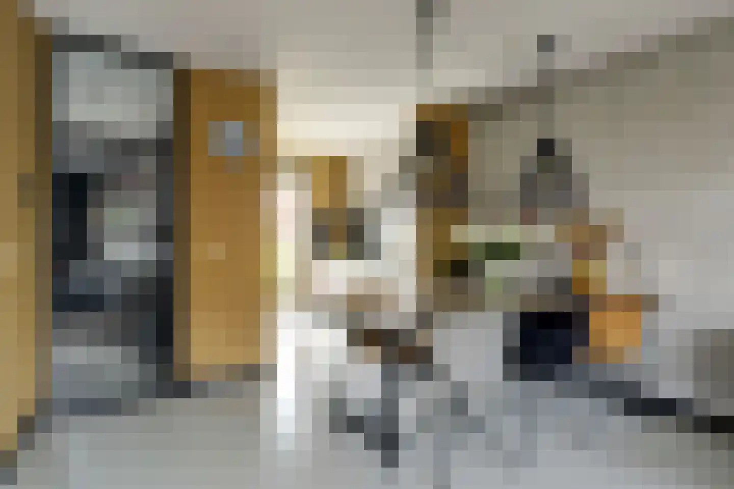 Inlaagdijk 23 Zwaag thumbnail 11