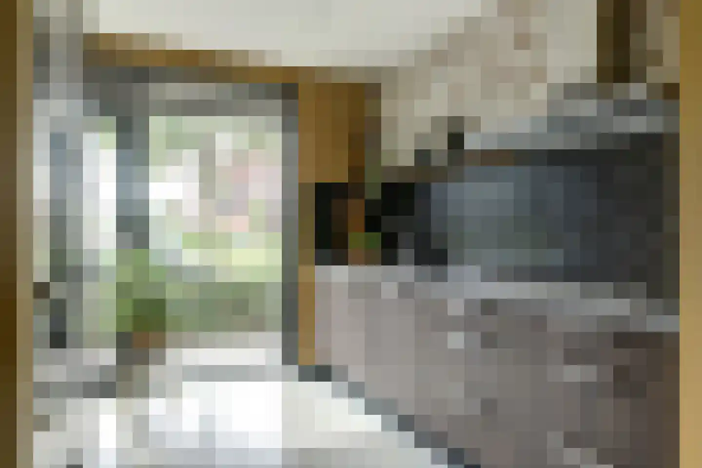 Inlaagdijk 23 Zwaag thumbnail 13