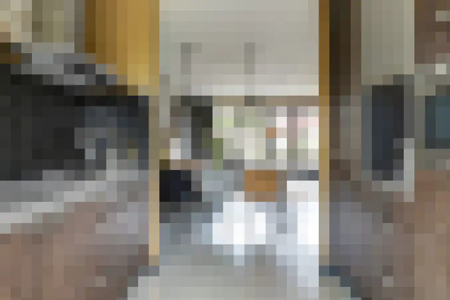 Inlaagdijk 23 Zwaag thumbnail 15
