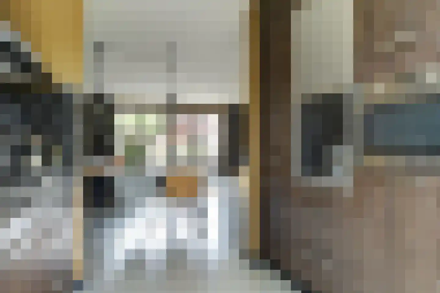 Inlaagdijk 23 Zwaag thumbnail 16