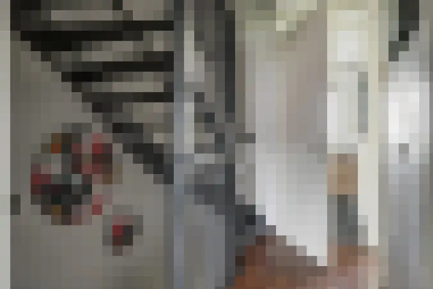 Inlaagdijk 23 Zwaag thumbnail 17