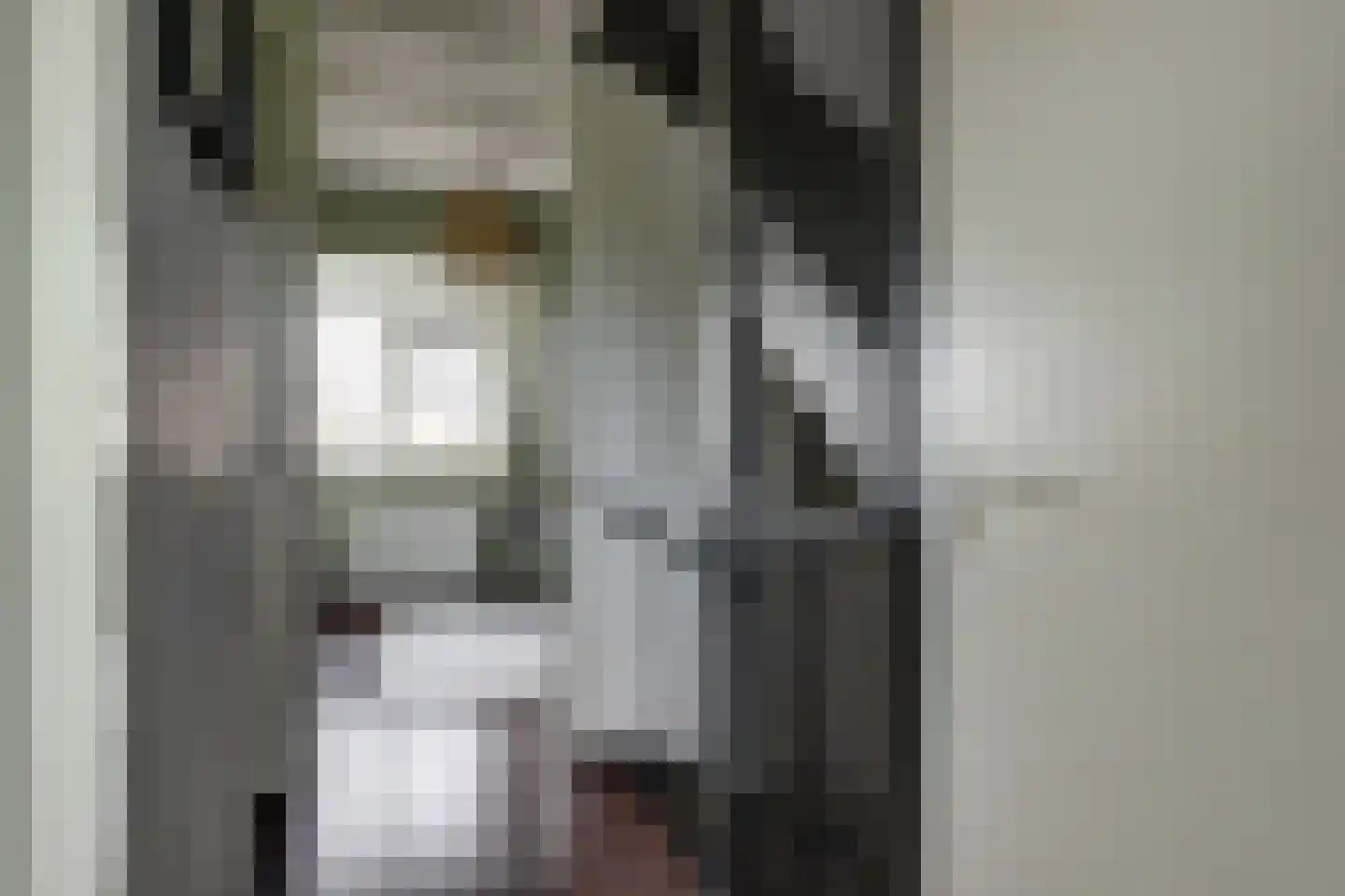 Inlaagdijk 23 Zwaag thumbnail 18