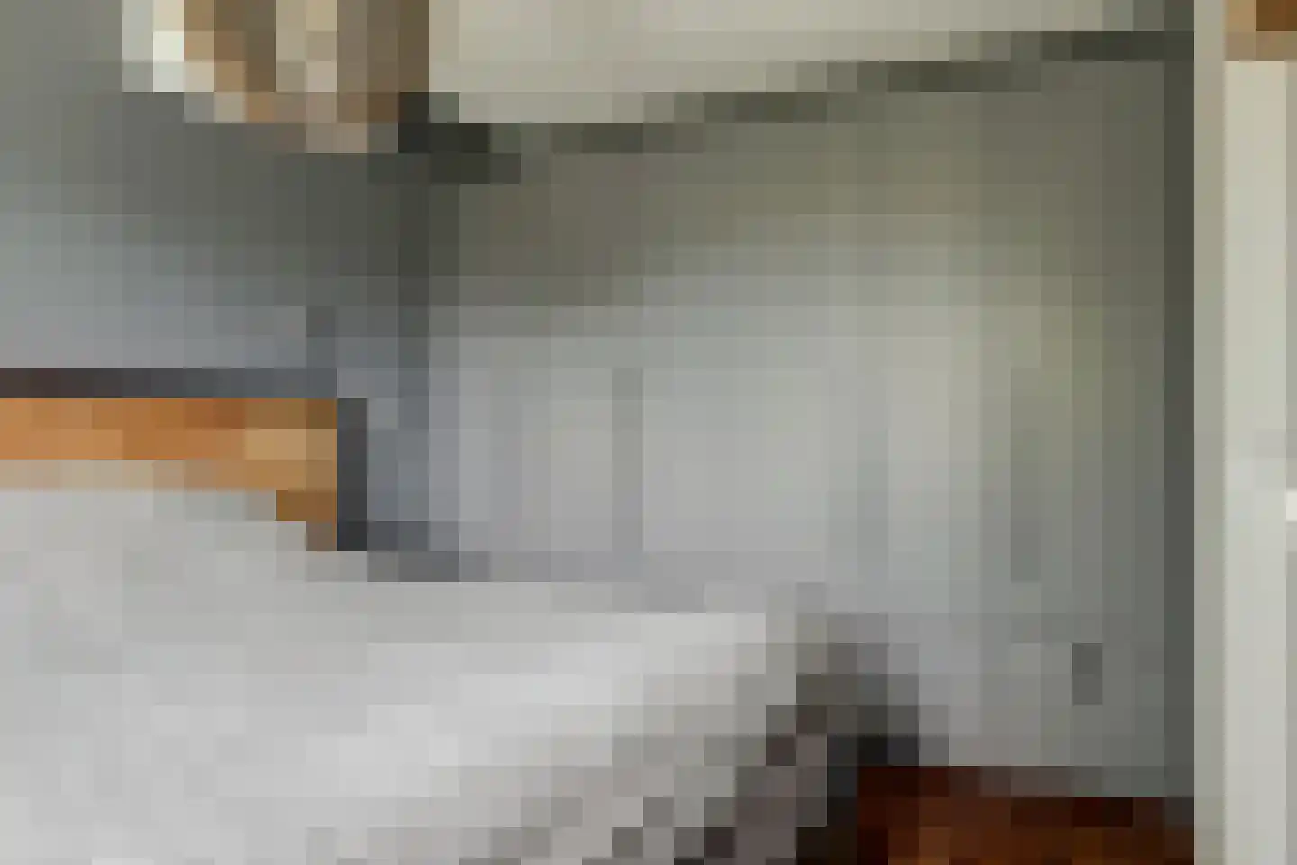 Inlaagdijk 23 Zwaag thumbnail 20