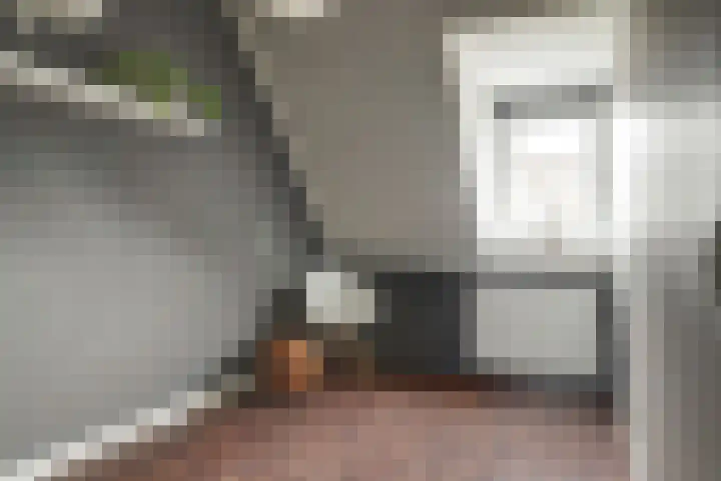 Inlaagdijk 23 Zwaag thumbnail 21