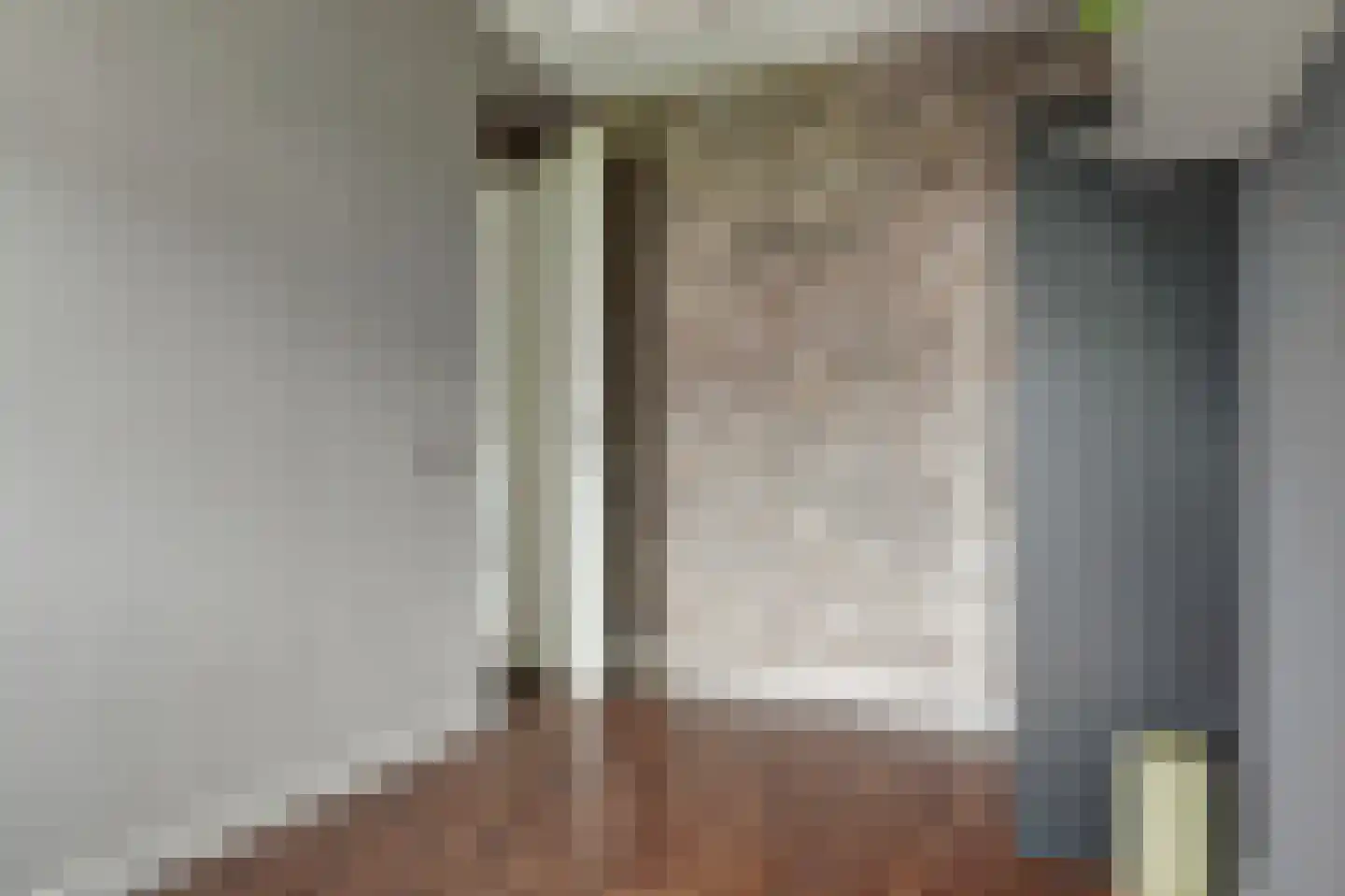 Inlaagdijk 23 Zwaag thumbnail 22