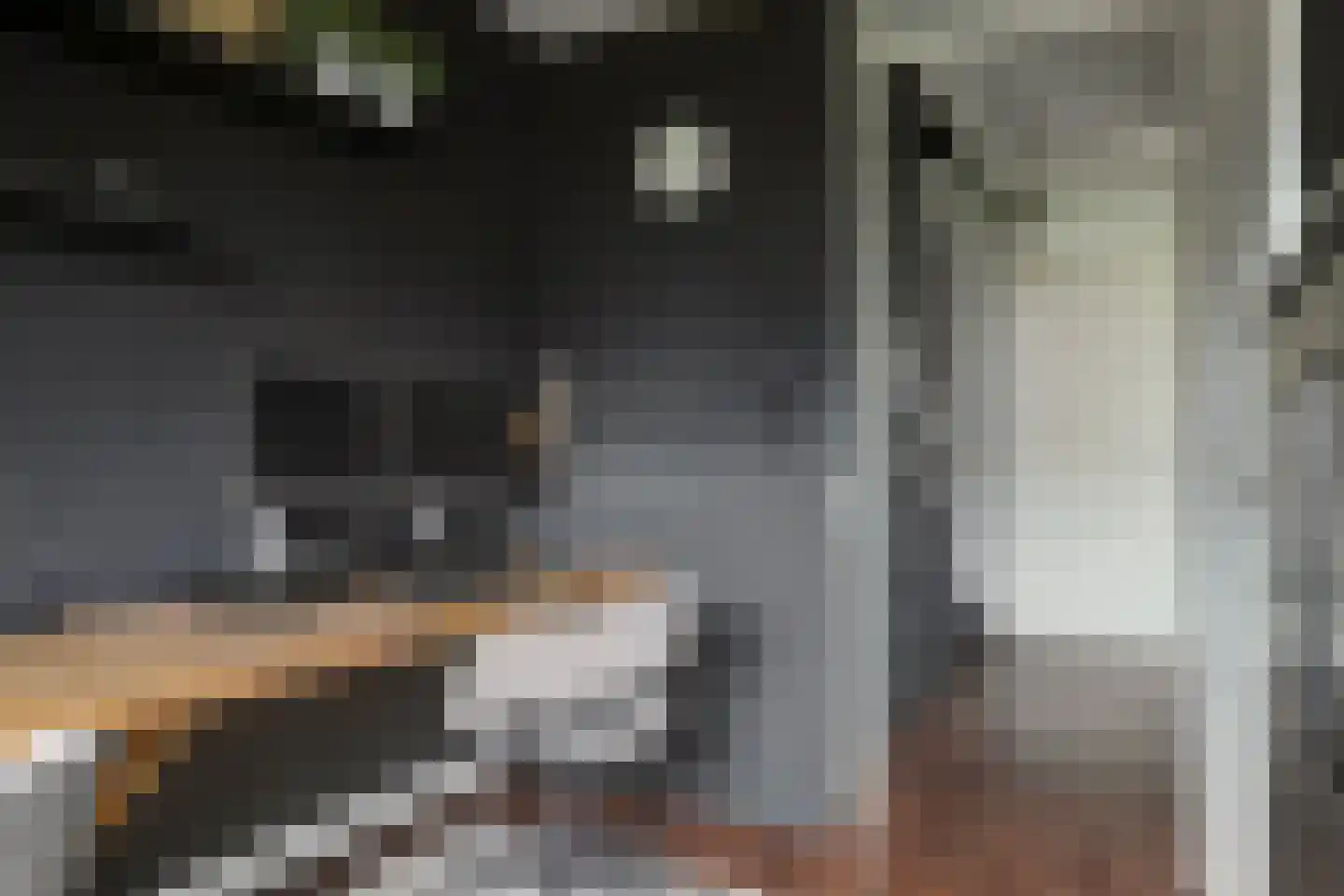 Inlaagdijk 23 Zwaag thumbnail 24