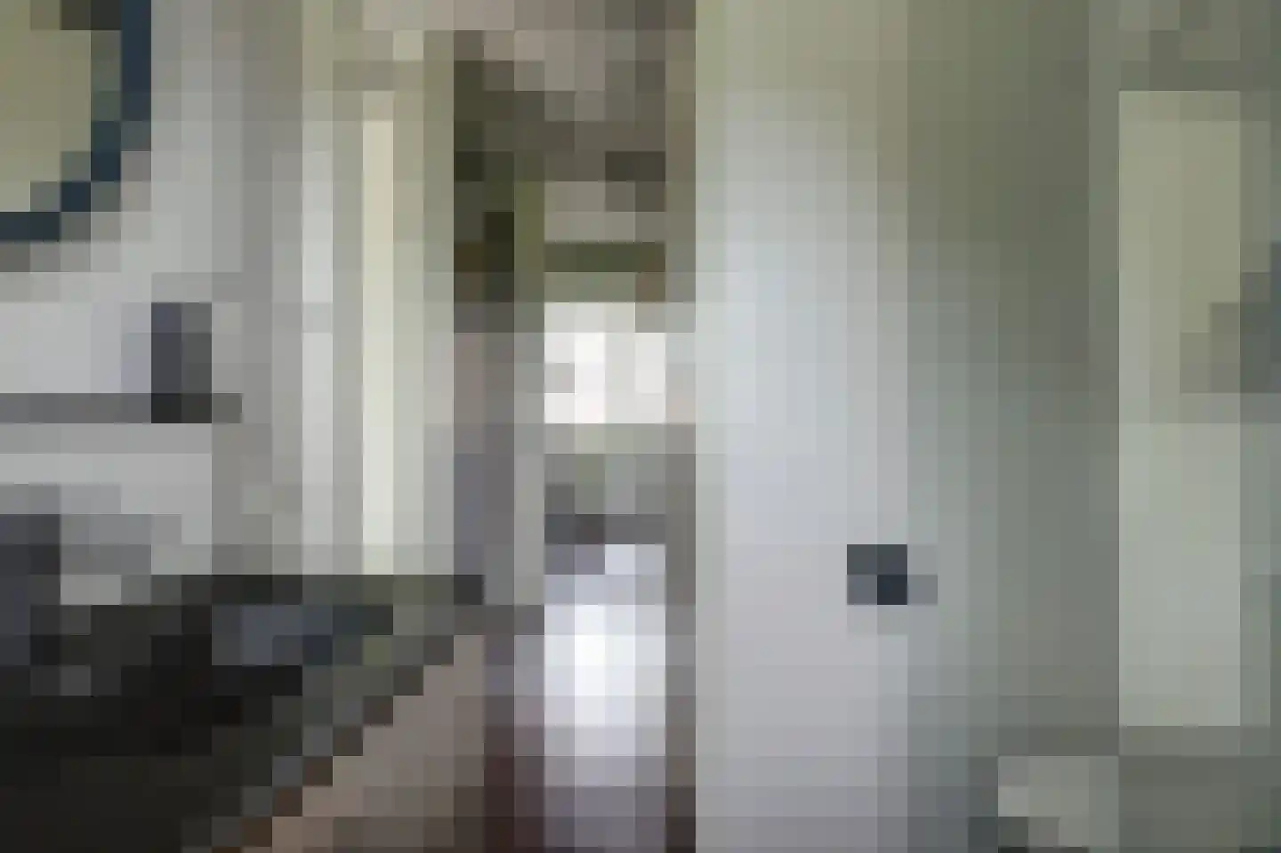 Inlaagdijk 23 Zwaag thumbnail 27