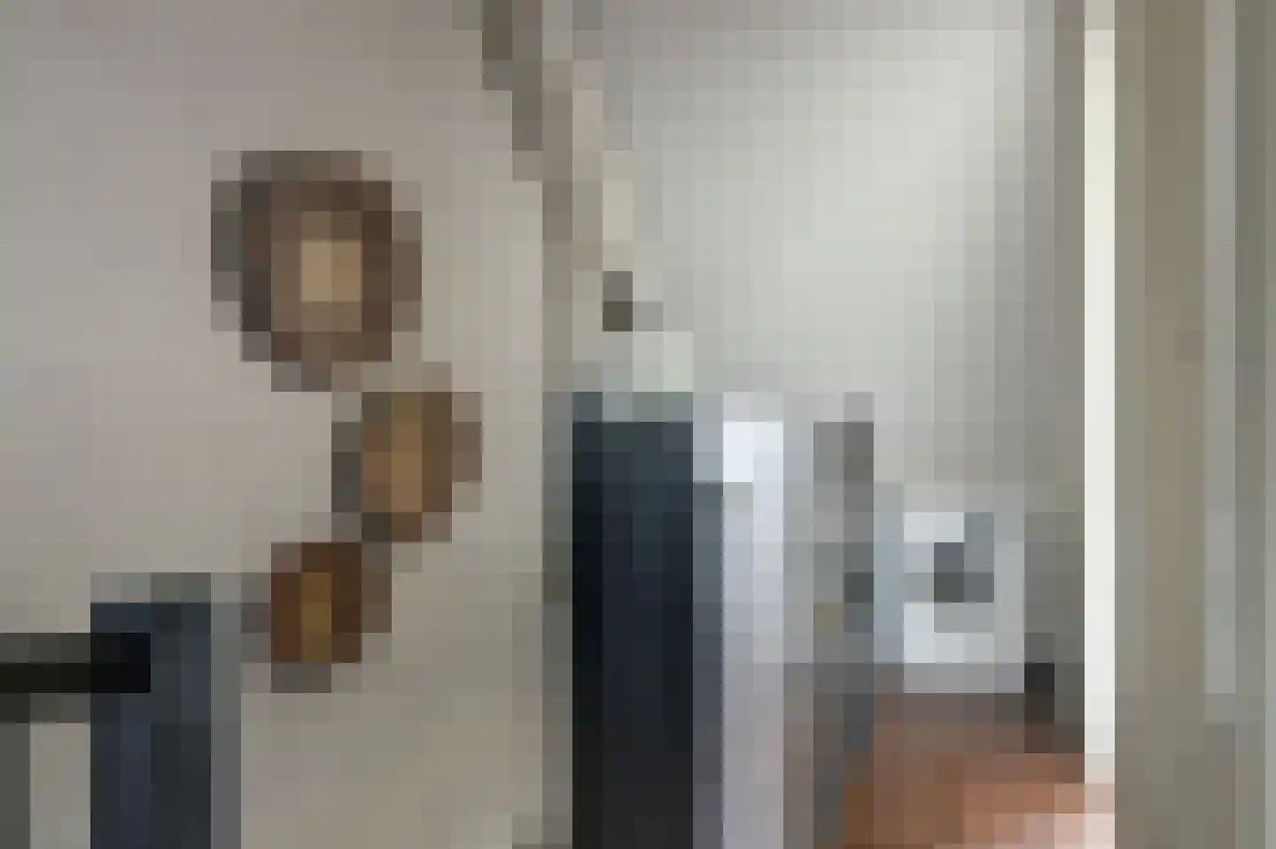 Inlaagdijk 23 Zwaag thumbnail 28