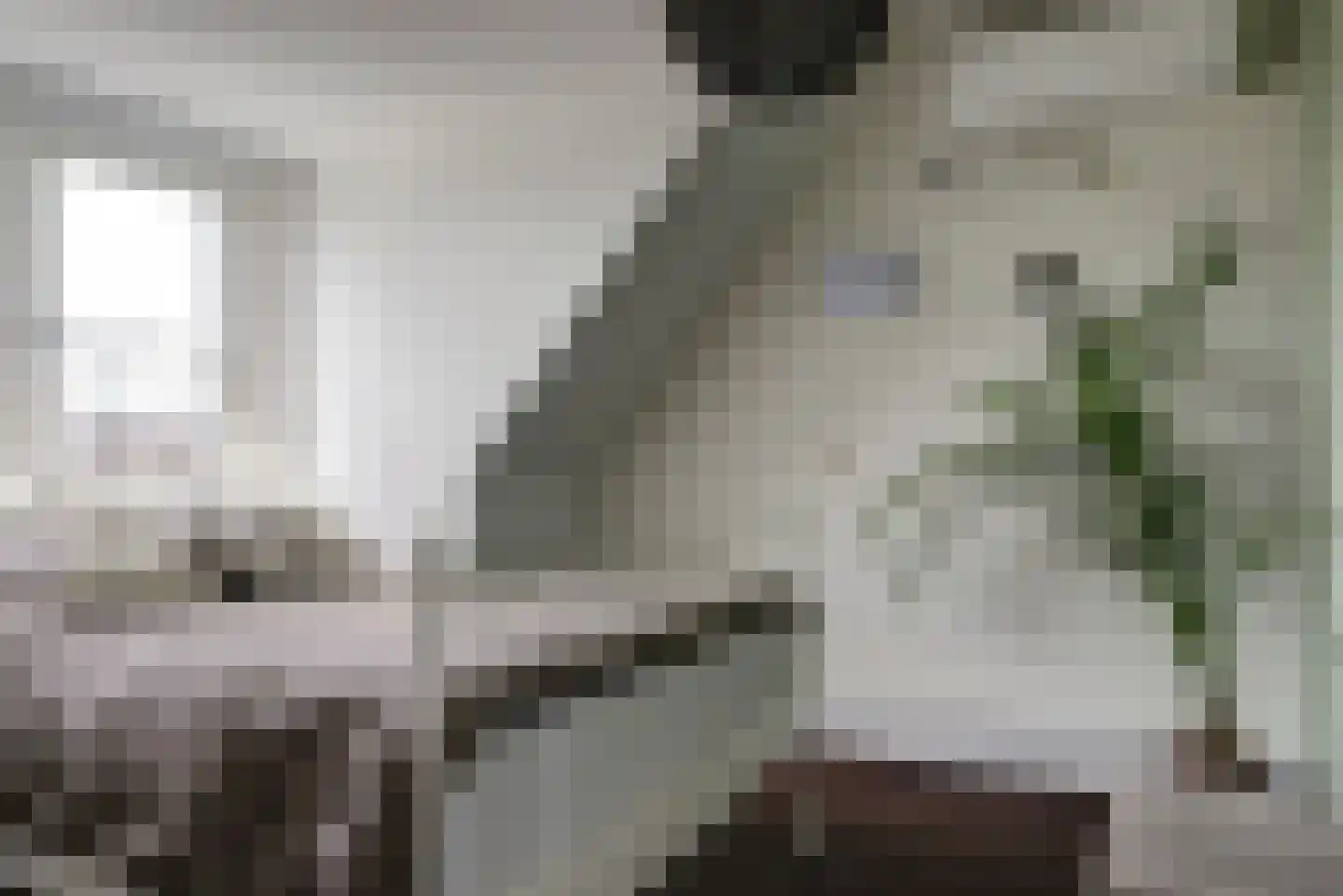 Inlaagdijk 23 Zwaag thumbnail 29