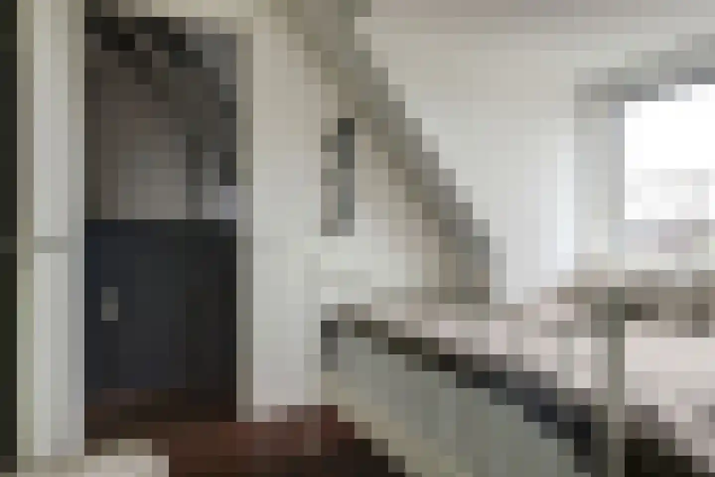 Inlaagdijk 23 Zwaag thumbnail 30