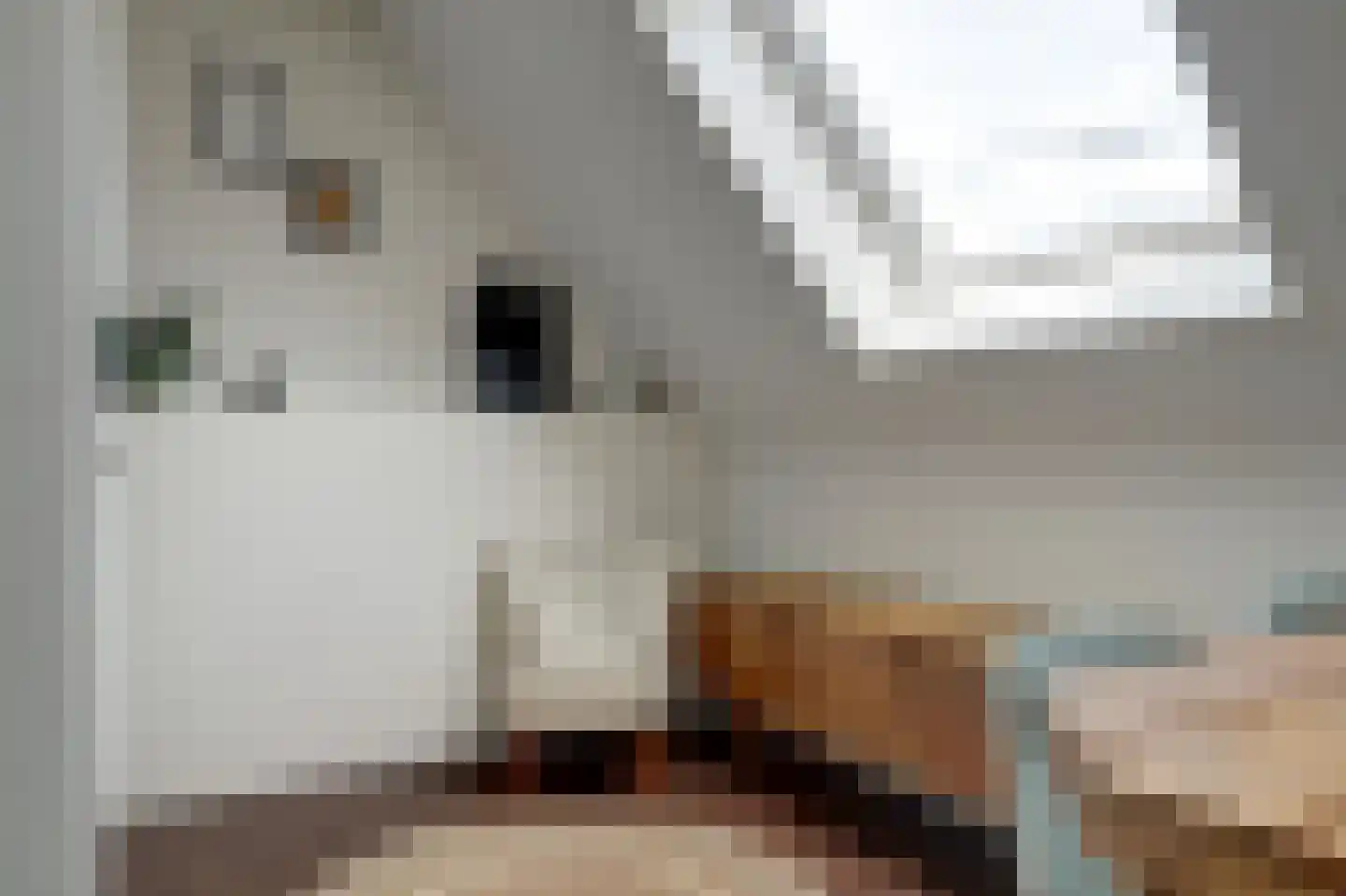 Inlaagdijk 23 Zwaag thumbnail 31