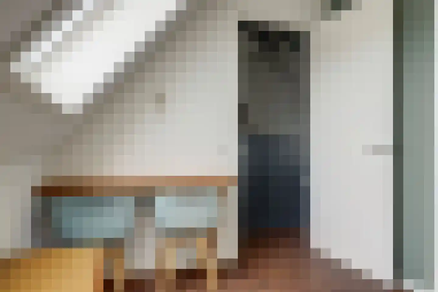 Inlaagdijk 23 Zwaag thumbnail 32