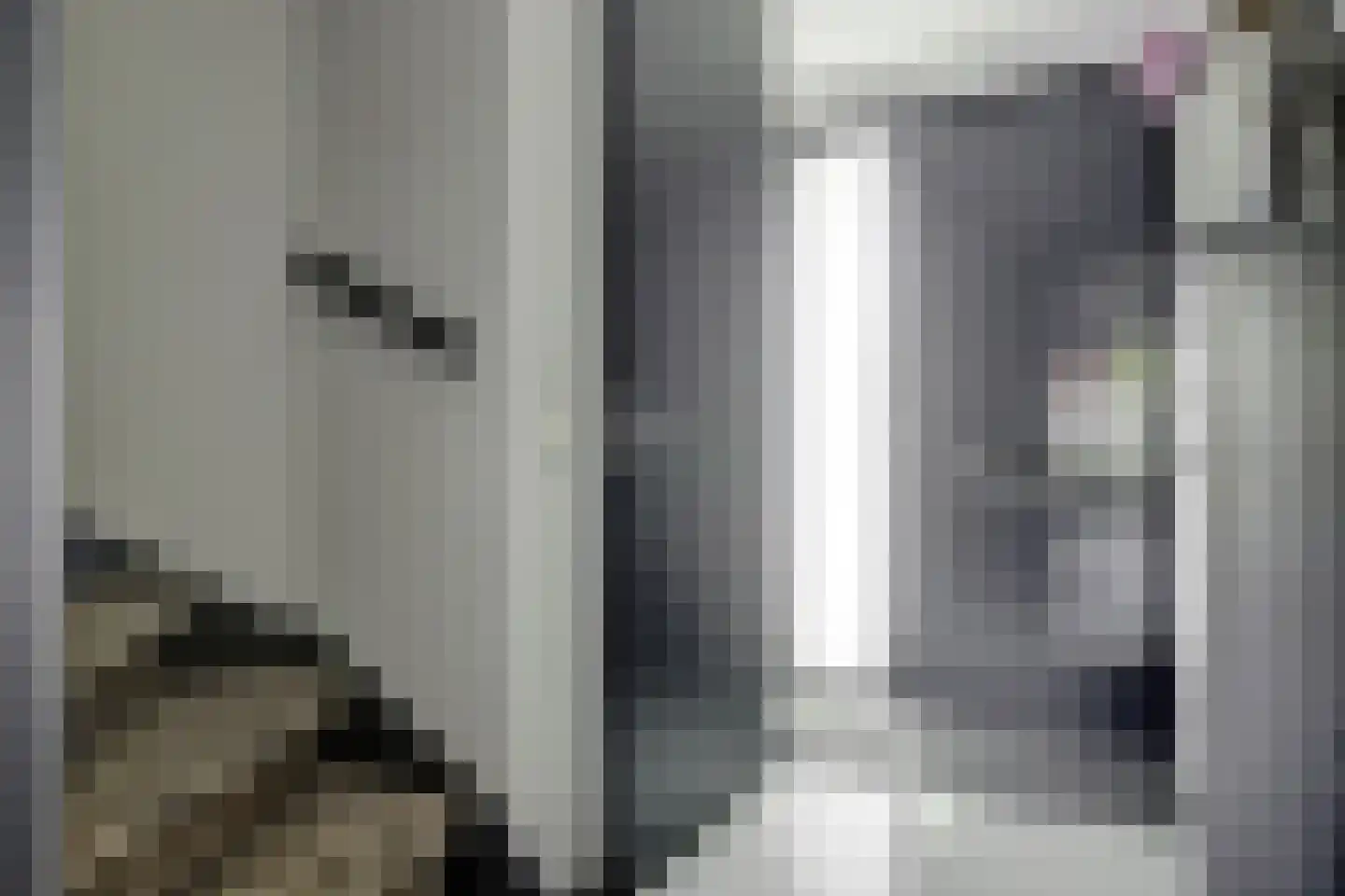 Inlaagdijk 23 Zwaag thumbnail 7